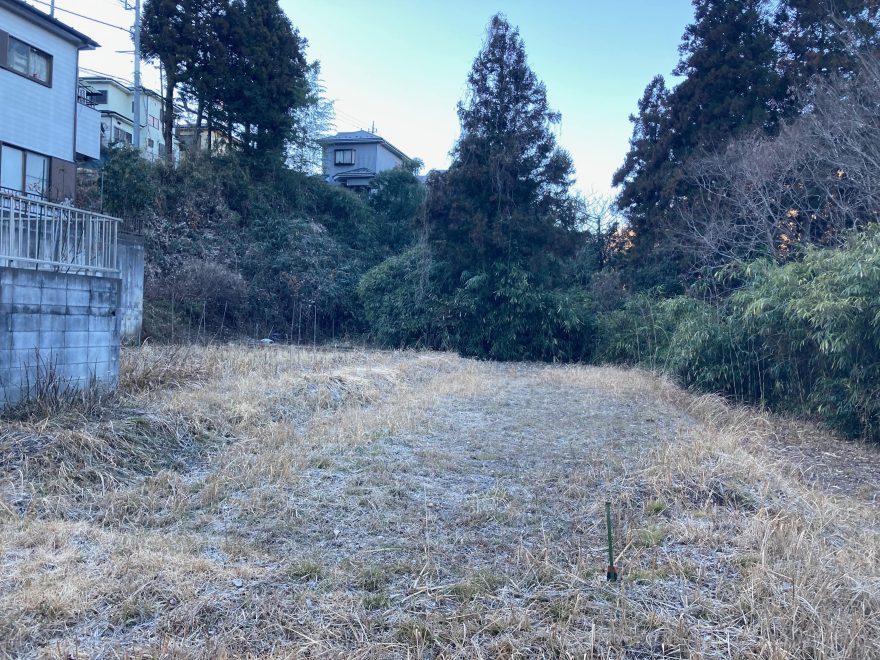 作業前の田んぼの様子（2025年1月26日撮影）