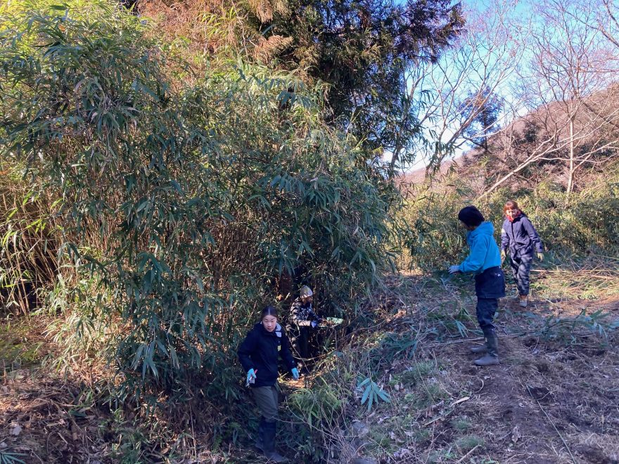 篠竹に覆われて沢も下流が全く見えませんでした