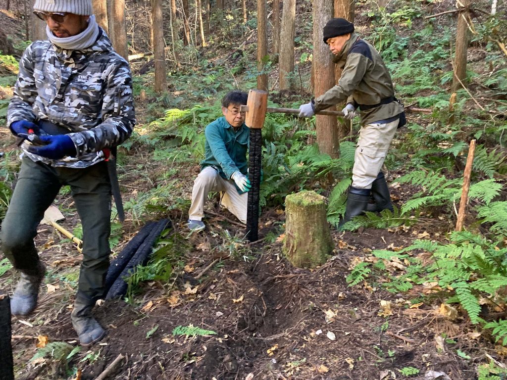 柱を安定させるための焼き杭を打ち込みます