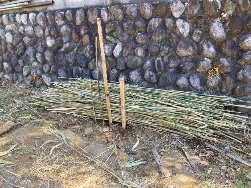 篠竹の支柱（これがもうひと塊できました）