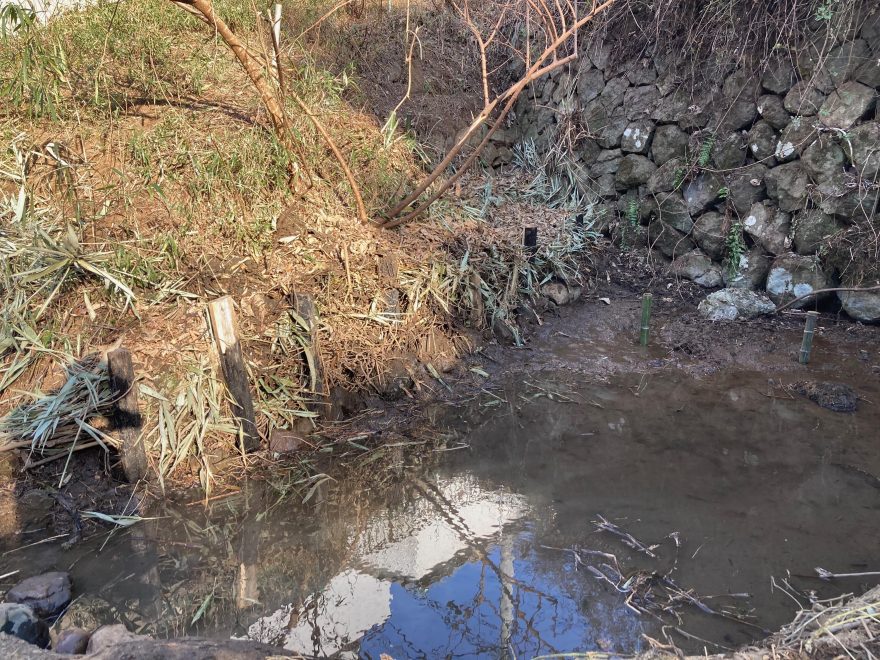 斜面を土留めで補強し、溜池の土砂を掻き出しました（作業後）