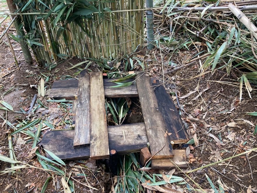 足場を組んだところ。写真奥に見えるのが篠竹で組んだ壁です。