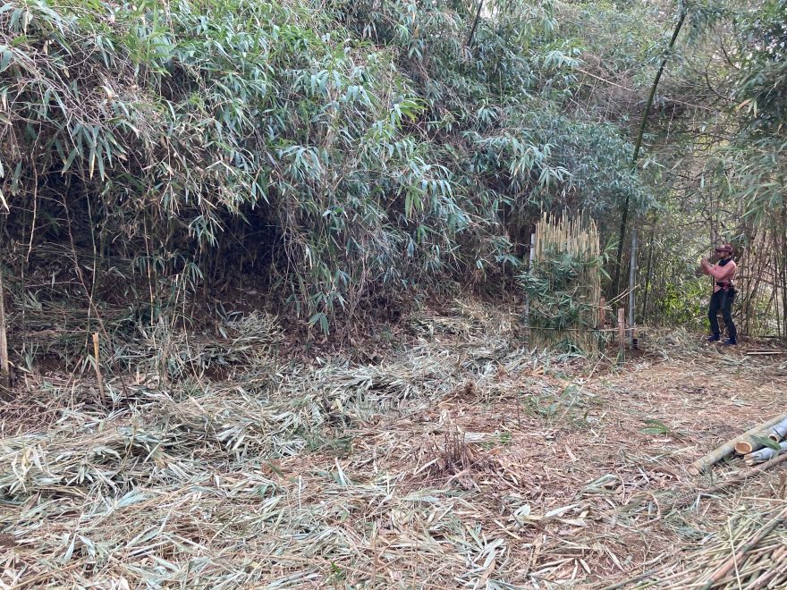 風景に溶け込んでますね