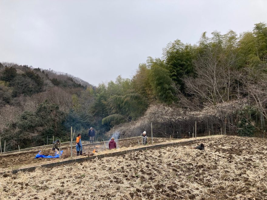 田んぼの真ん中で火を焚いて焼き杭作り
