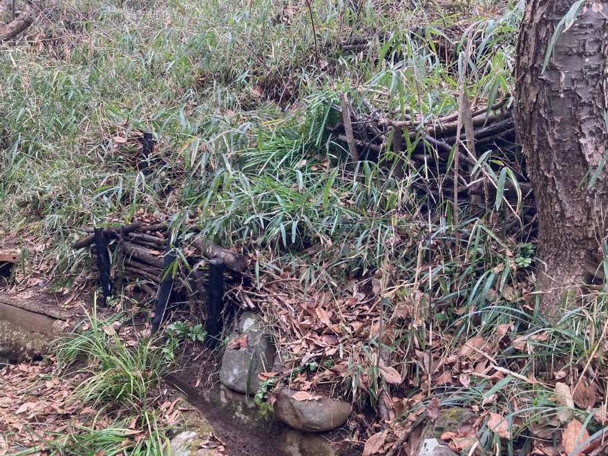 斜面を焼き杭を用いて土留めで補強