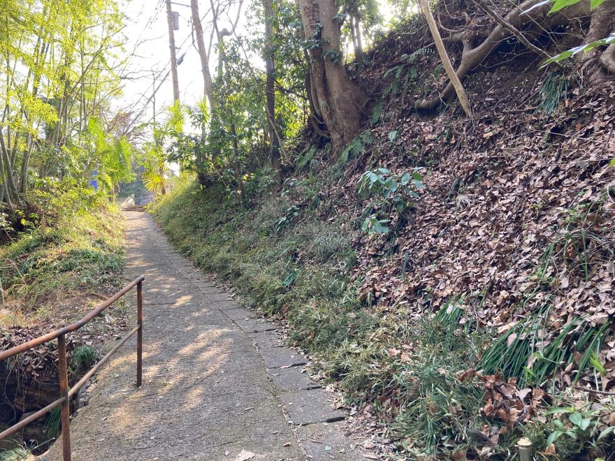 斜面の際に、笹の土留めが入っています