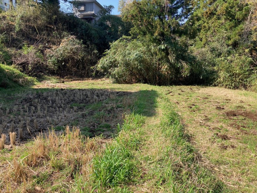田起こしする前の田んぼの状態（右側の田んぼのボコボコしているところが点穴を入れたところ）