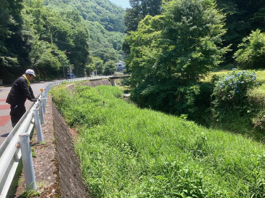 1年前に草刈りを行ったところ（風道を通した部分はうっすら筋が見えています）