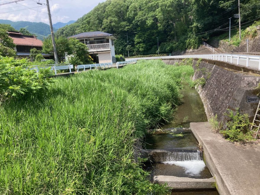 2メートル以上の草に覆われ、地域住民の手に負えなくなってしまいました