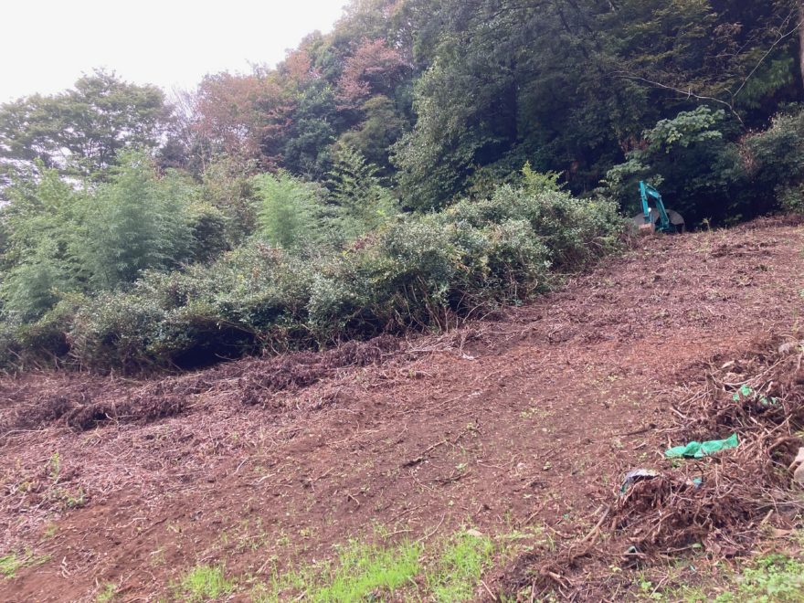鳥獣害対策の理由で抜根された茶畑